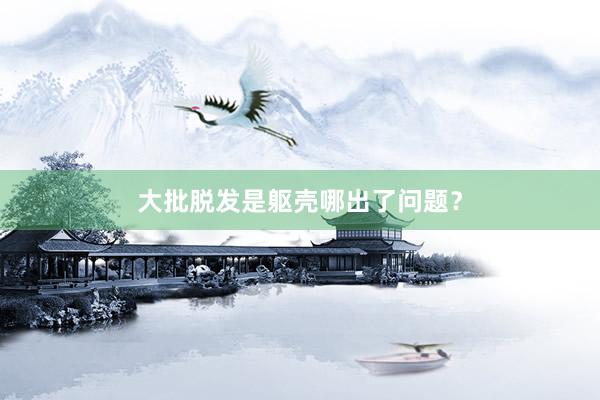 大批脱发是躯壳哪出了问题？